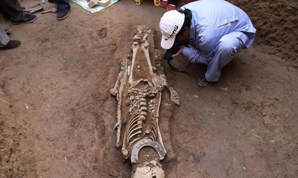 考古硕士揭秘真实盗墓盗贼不会打洞古墓被盗前后对比无比痛心