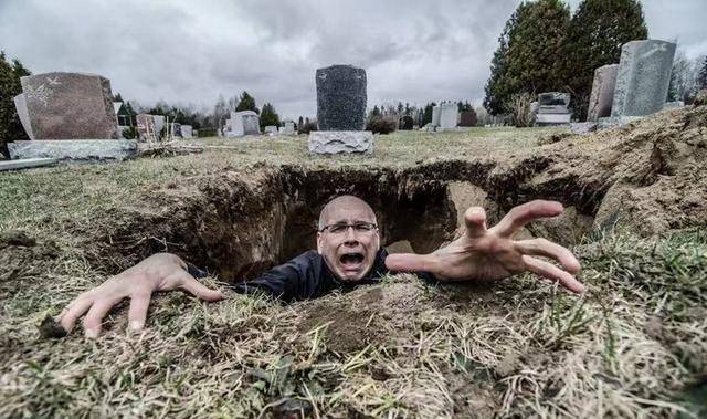 杭州杀人分尸楼栋没人敢住人为何害怕同类尸体却不害怕动物的