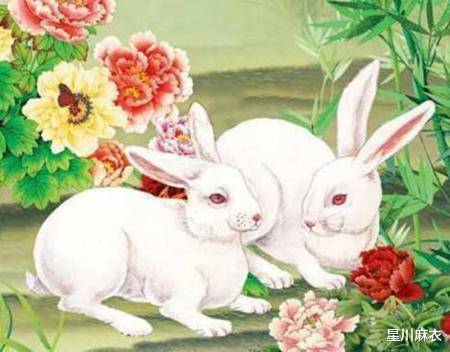 原创415421日属兔属龙属蛇运势提点属蛇大展拳脚积极落实