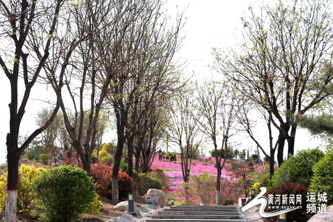 “公园20分钟理论” 早就刻进运城人的DNA-上海麦迪广告有限公司