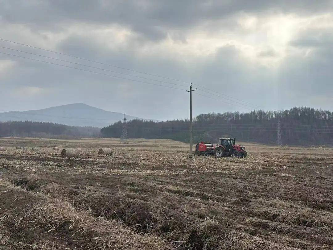 蛟河市这个镇秸秆离田还田面积已达931