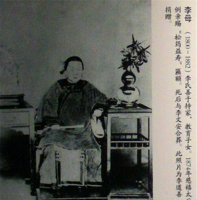 李殿华有一个儿子李文安,儿子和养女青梅竹马,一起长大.