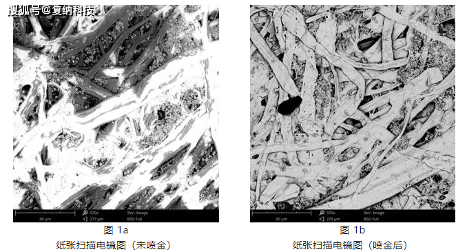 扫描电镜干货镀膜喷金对扫描电镜成像质量的影响