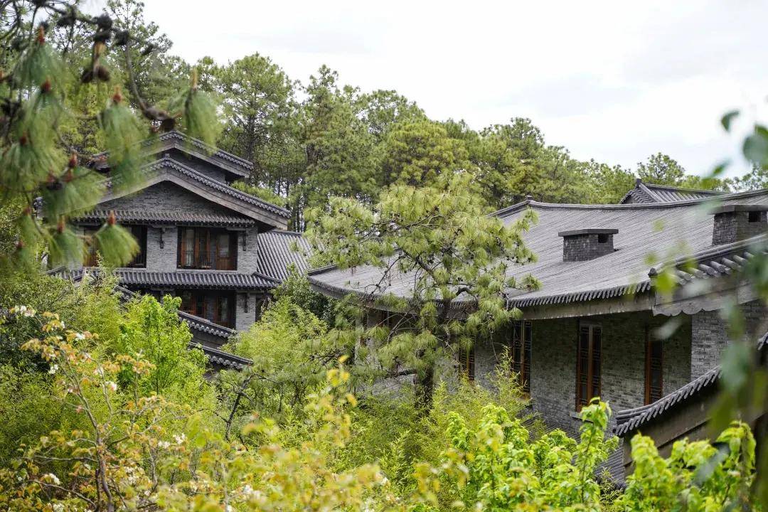 滇藏线上的秘境顶流还得看把旅行玩出花的松赞