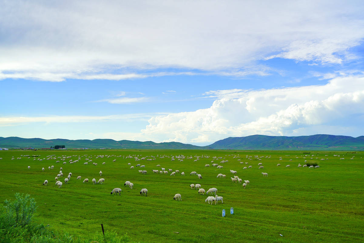 去内蒙古旅游六天需要多少钱?_day_草原_穿越
