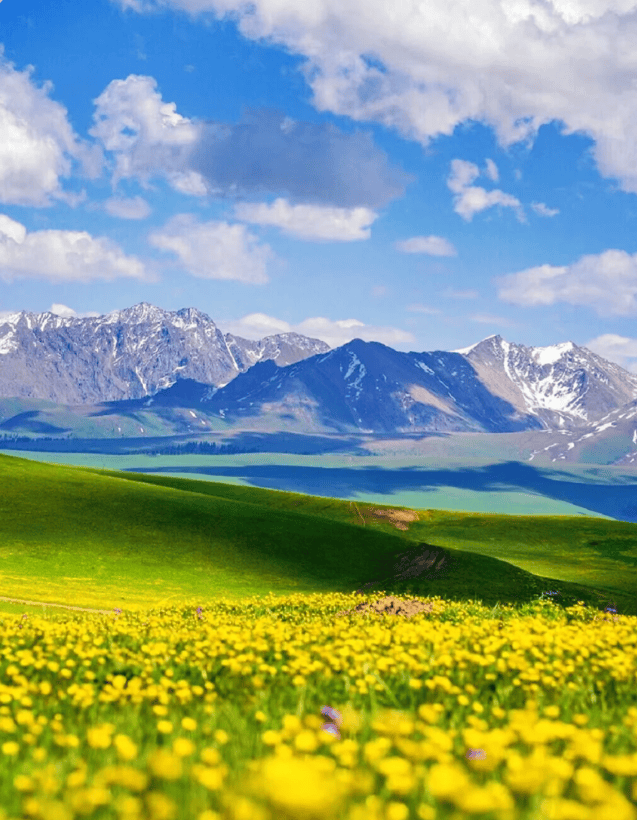 新疆美图风景图片图片