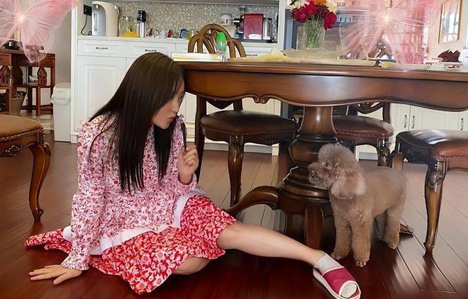 在小屋的角落,毛茸茸的小狗静静地趴在杨钰莹的脚边,它的眼睛里闪烁着