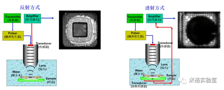 超声波扫描显微镜csamsat