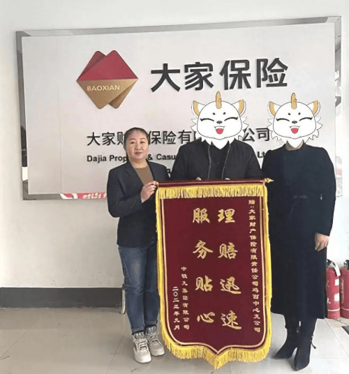 快速理赔服务升级大家财险高效处理为民解忧