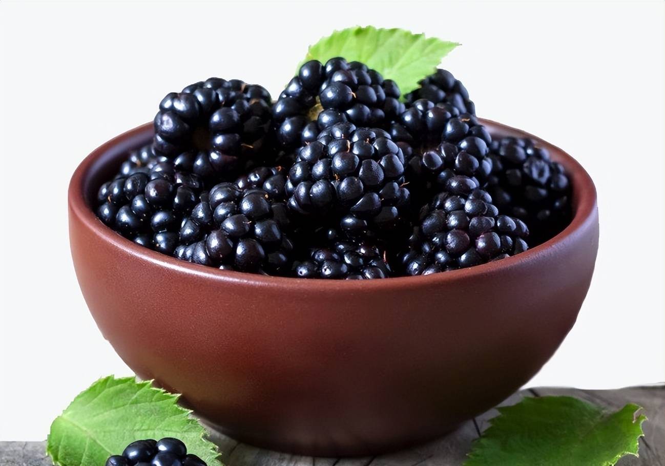 市场上的桑葚原浆琳琅满目,有的价格高昂,有的品质参差不齐,让人眼花