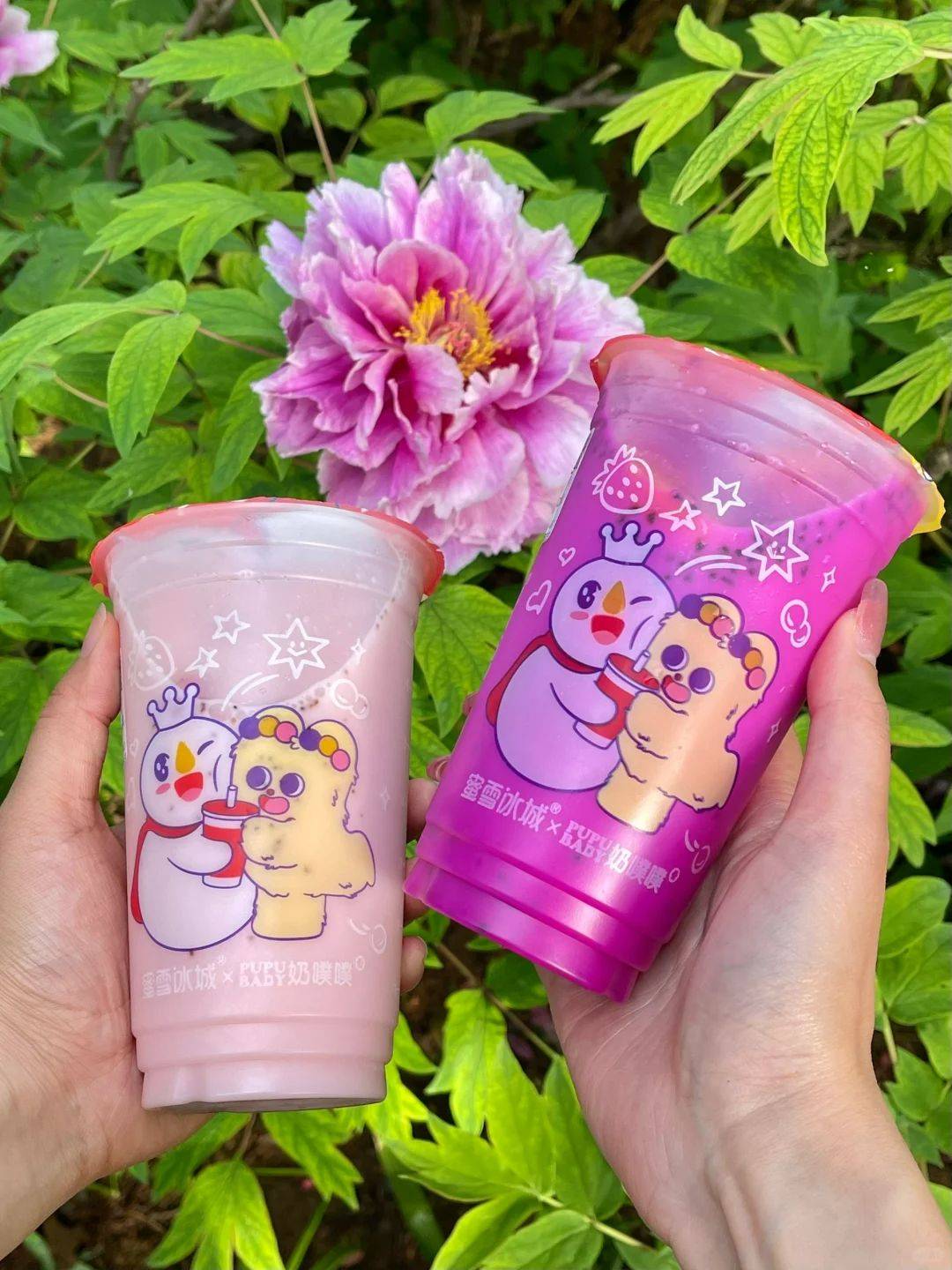 蜜雪冰城奶噗噗火龙果酸奶和草莓桃桃酸奶