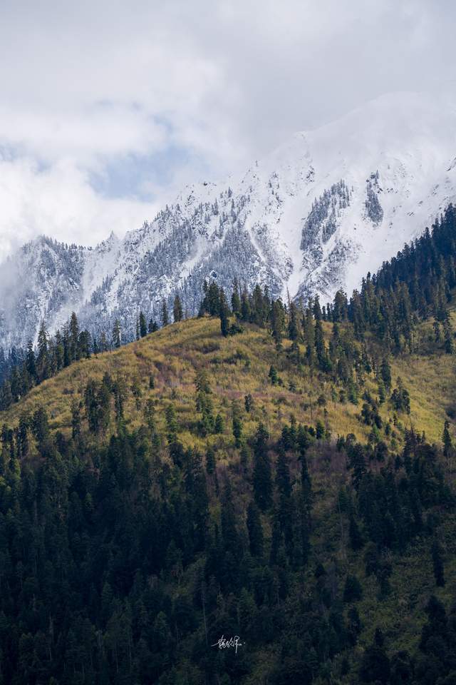 尼屋到八盖地图上没有的路藏在深山里的易贡大峡谷