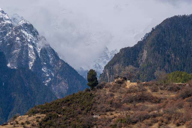 尼屋到八盖地图上没有的路藏在深山里的易贡大峡谷