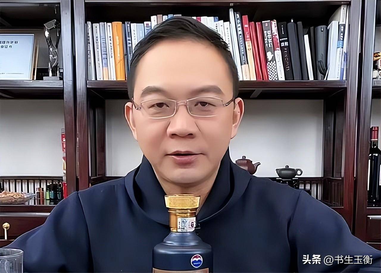 郎永淳:为妻子从央视辞职,因酒驾入狱3个月,如今身份让人羡慕