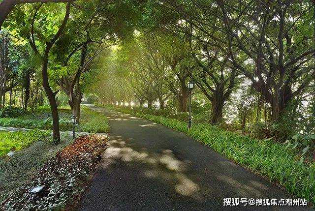 南天名苑网站首页广州南天名苑欢迎您南天名苑地址配套情况楼盘最新