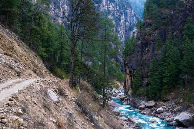 尼屋到八盖地图上没有的路藏在深山里的易贡大峡谷