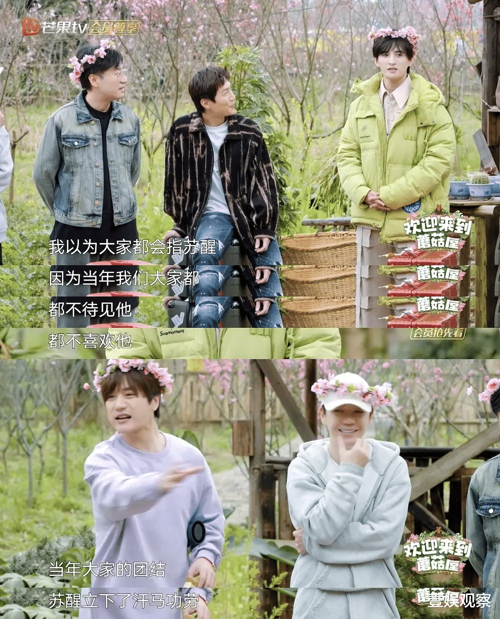 终于到了爱优腾芒能用会员综艺好好赚钱的时候了