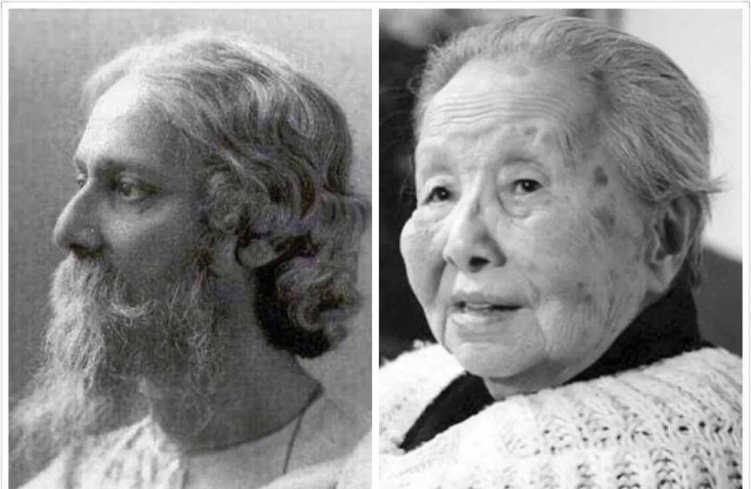 原创本无深交鲁迅为何讨厌冰心曾吐槽她是被调戏要上吊的女人