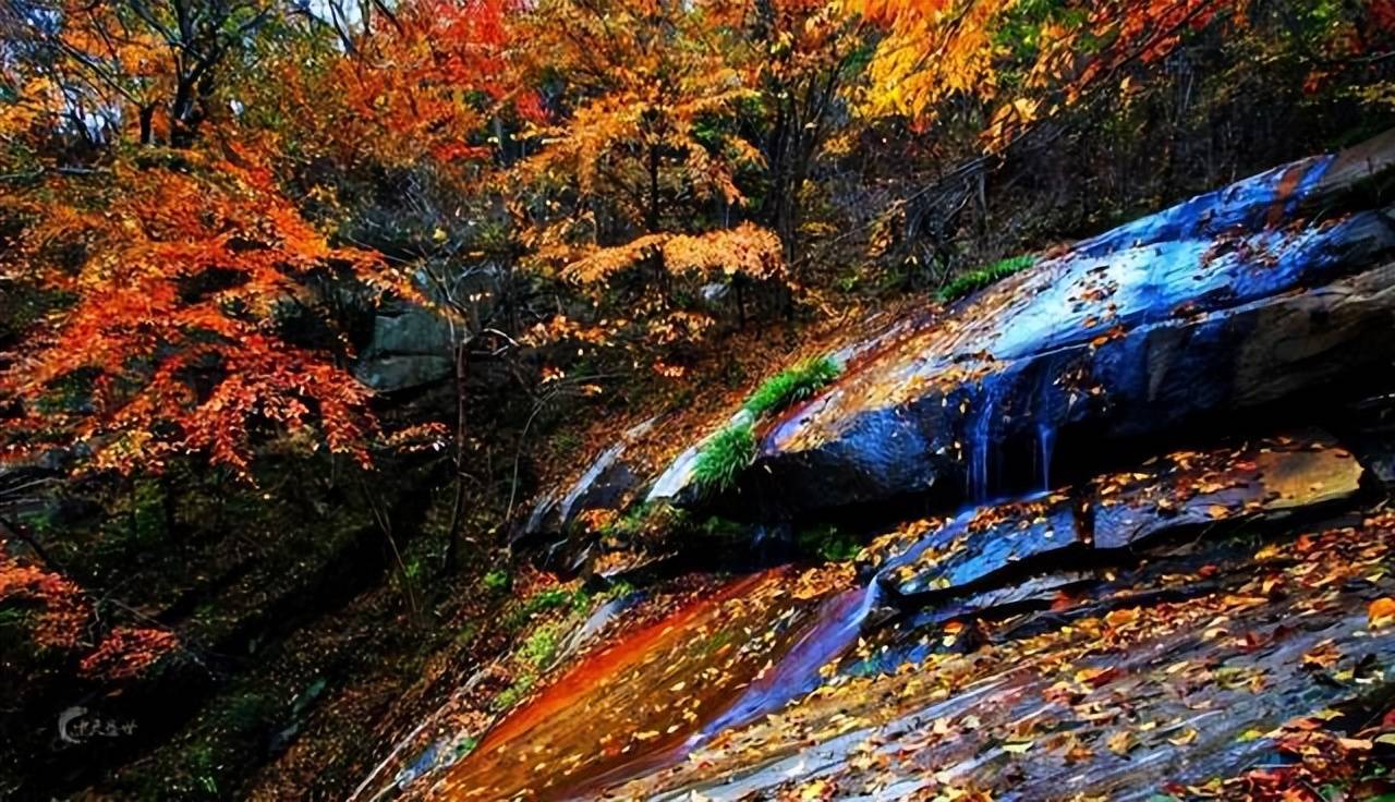 元好问闲居河南登封蒿山,在这一时期写下一组《山居杂诗》