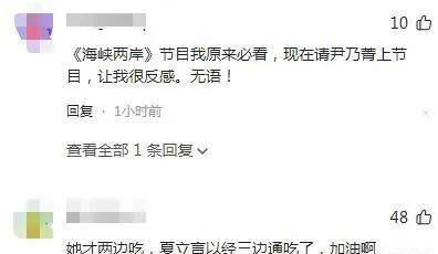 原创央视名嘴尹乃菁重返海峡两岸遭遇网友不满