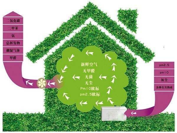 我的经历160退而不休活得有意思有意义86给董明珠女士关于新风系统的