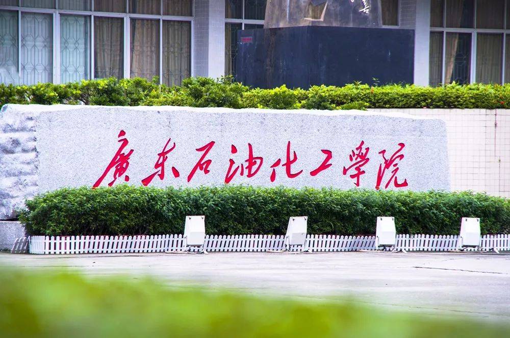 广东石油化工学院2024年高等学历成人高考专业介绍_广东省_高校_英语
