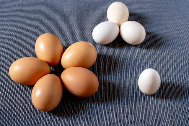 胆固醇高能吃鸡蛋吗图片