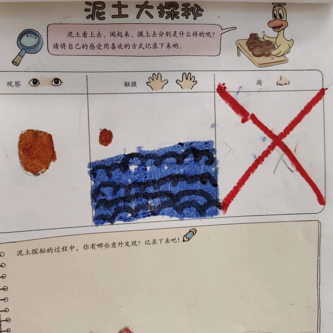 【科学探玩】建德市诺亚舟幼儿园:"泥",你好!_泥土_调查_大自然