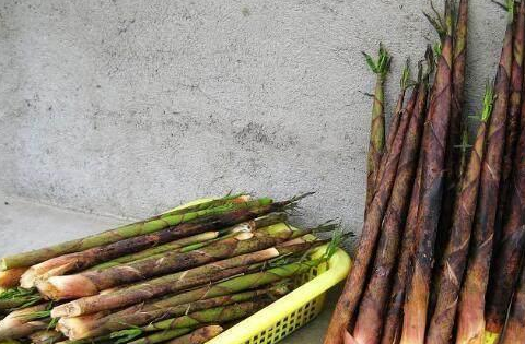 农村的这5种野味才够鲜,城里人有钱都吃不到哦,你吃过