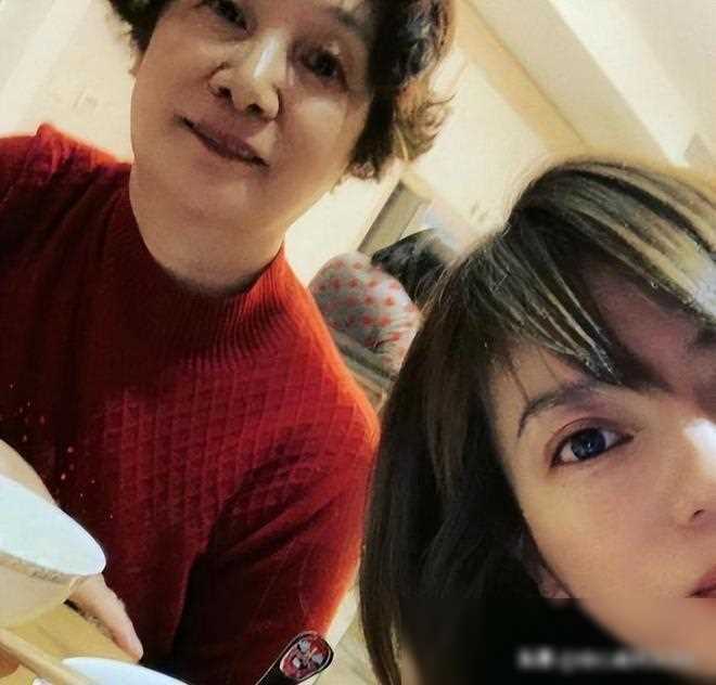 魏启颖一家风云突变赵薇与兄长各走不同人生路