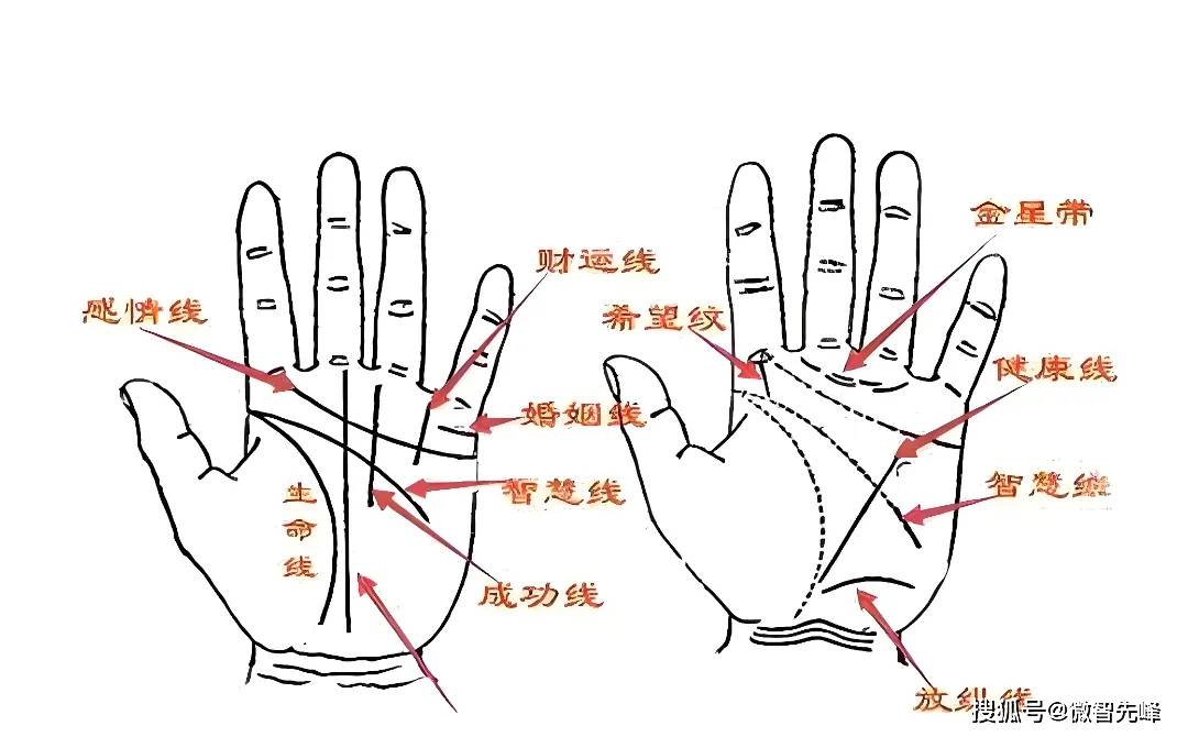 生命线倒钩形状图图片