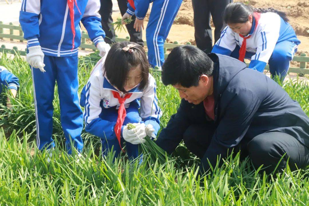 莱西市孙受镇地图图片