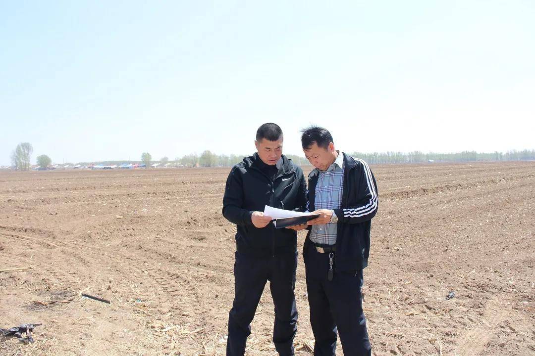 开鲁县政府副县长,公安局局长崔宝来到义和塔拉镇督导重点工作