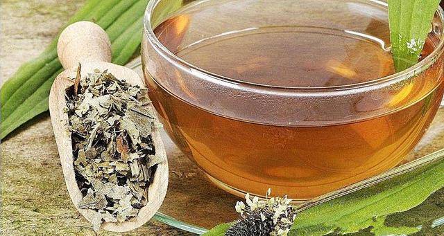 "车前草"是个宝,用它来泡水喝,或能帮助解决4个问题