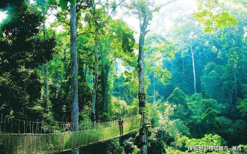 去云南西双版纳旅游有哪些好玩的地方?云南西双版纳旅游景点推荐