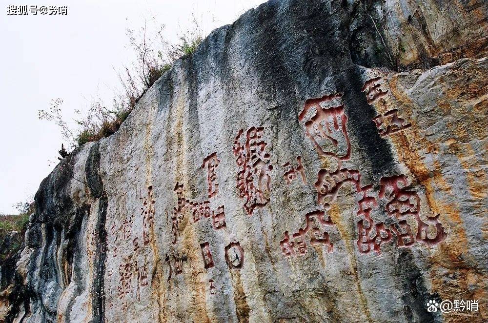 乡土中国,故乡贵州_文明_化石群_动物