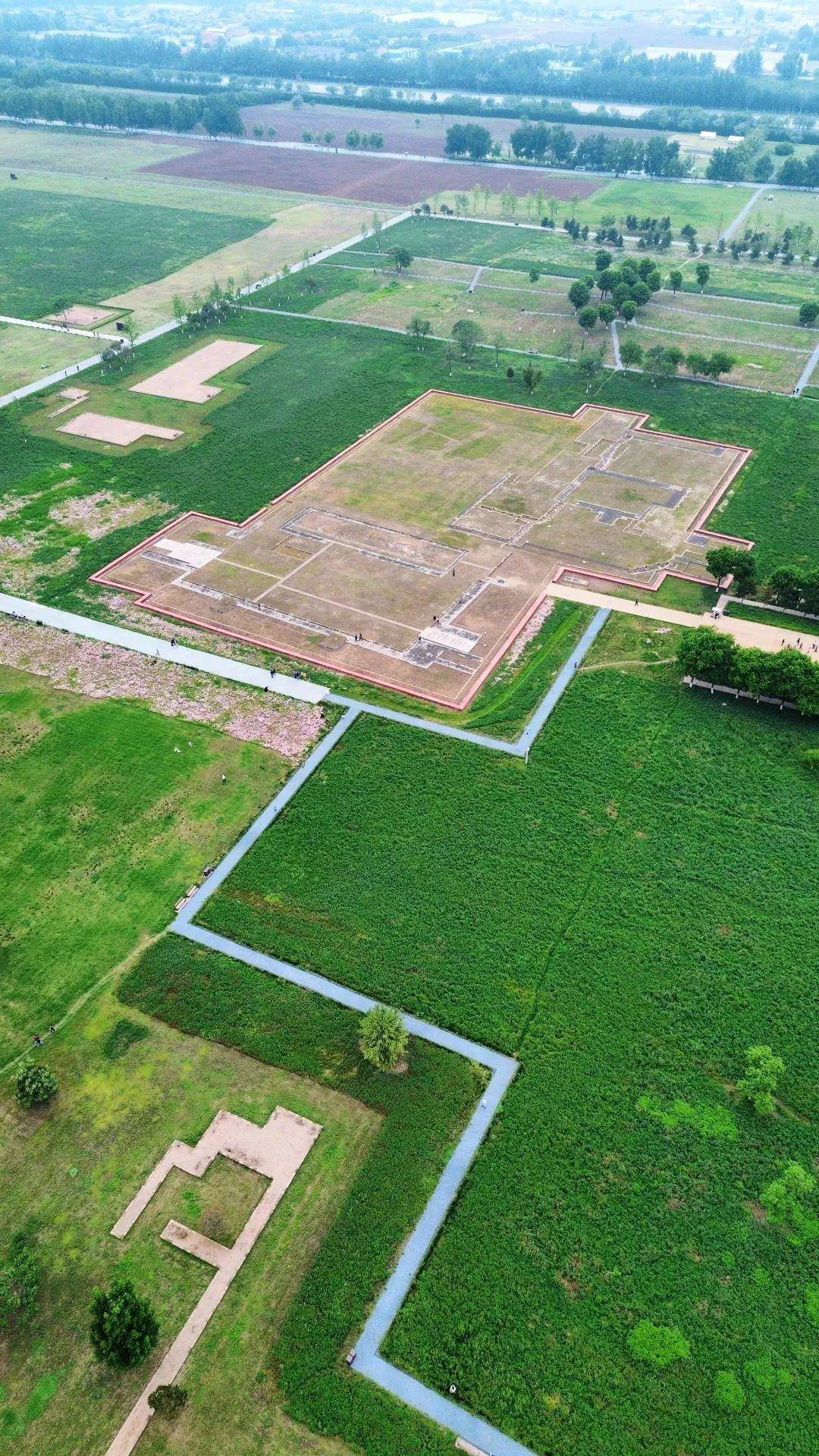 汉长安城遗址公园白色雏菊花已到盛花期,这里才是西安人的后花园