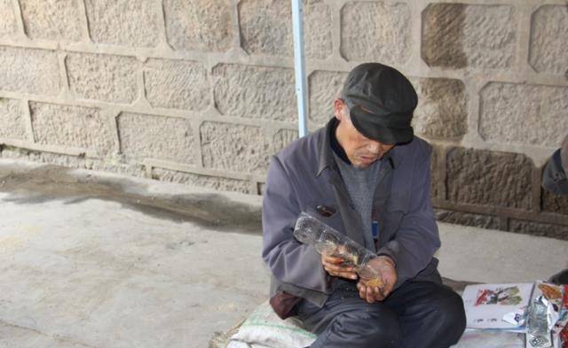 七旬老人流浪街头,衣服干净整齐举止不一般,问了才知道他不简单