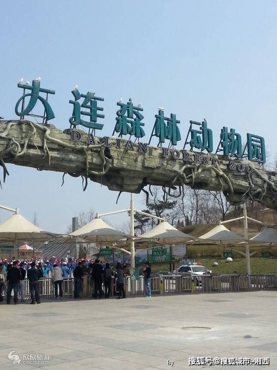 大连如何深度高品质游玩_表演_星海广场_森林动物园