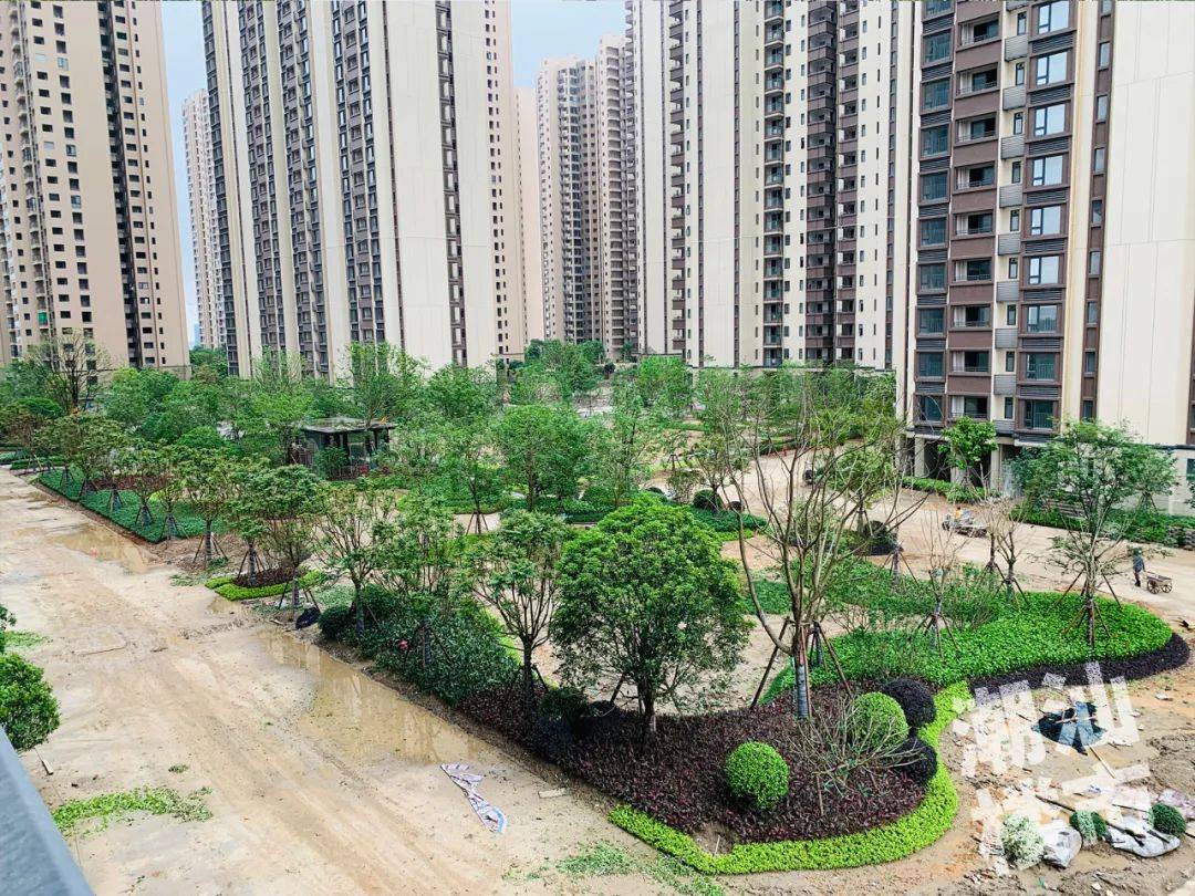 探完东海岸这个盘,房姐感慨:买家们莫慌?