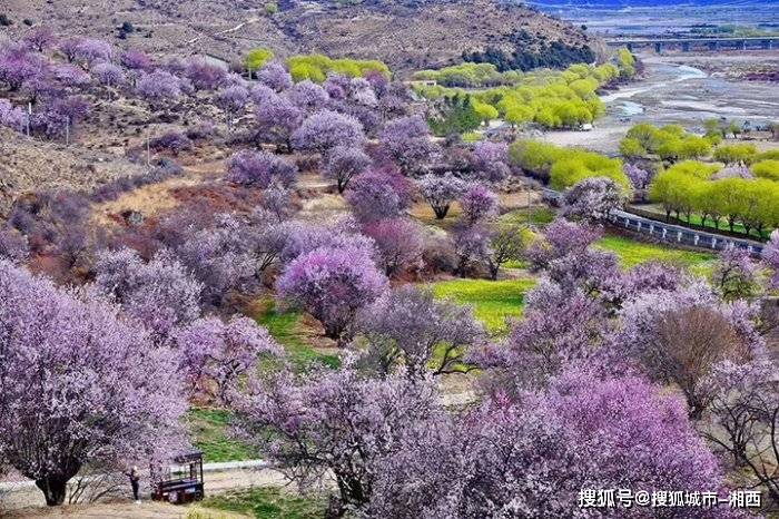 沿路慢性拍摄风景!沿途途径【米拉隧道】随后前往工布江达县进行午餐.