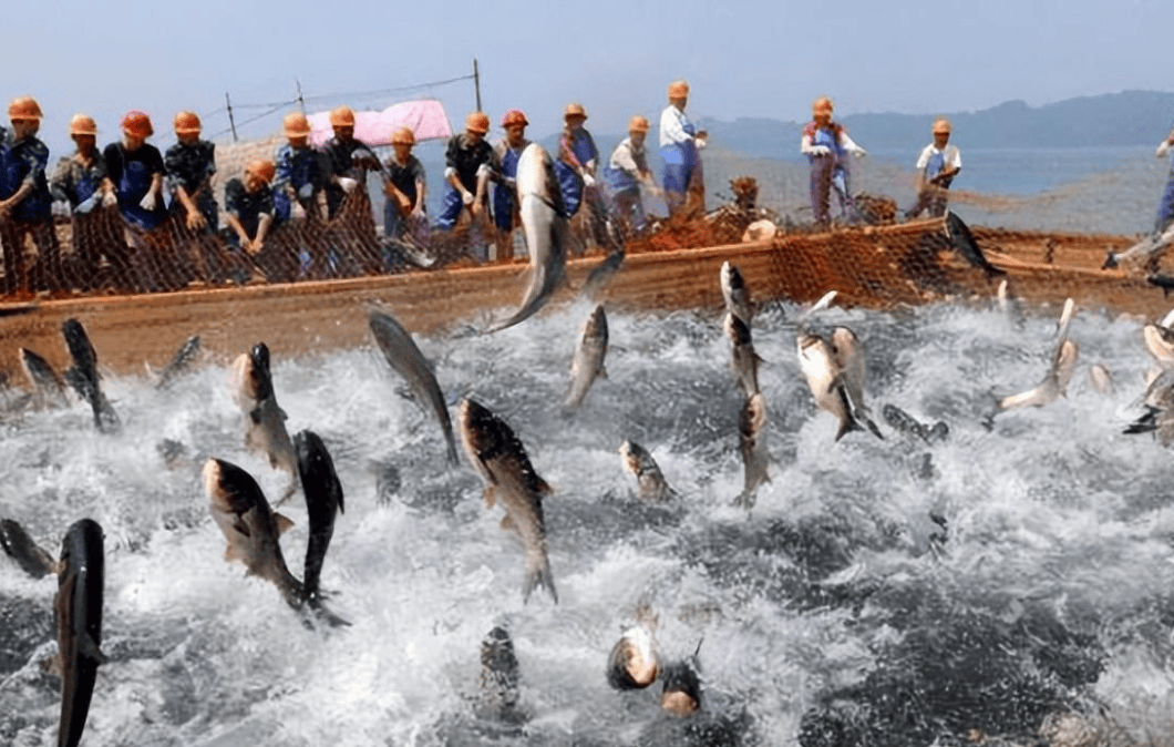 长江水域令人担忧_捕捞_因为_人们