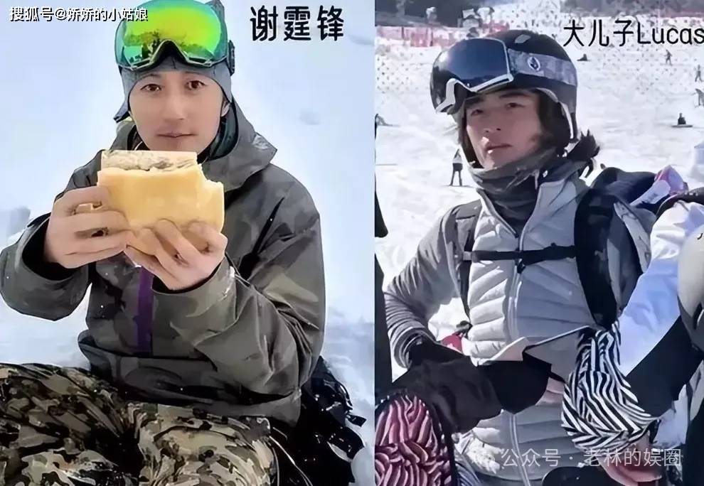 谢霆锋_感情_情感