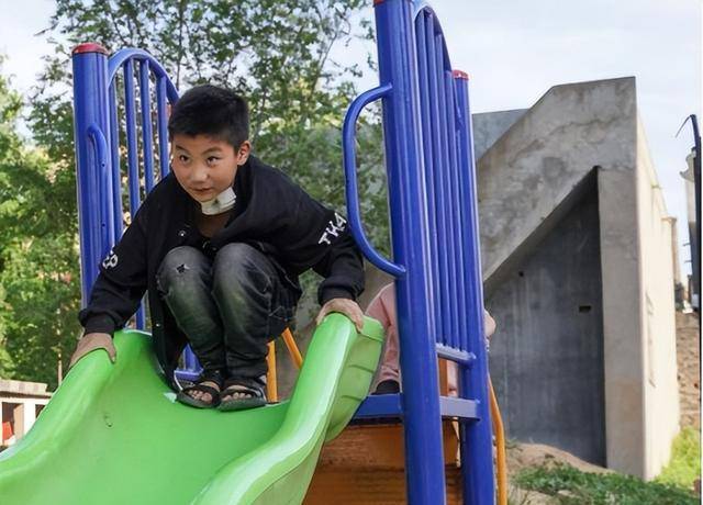 13年,3岁男童被藏獒咬伤脖子,狗主人扔2万元玩消失,孩子怎样了