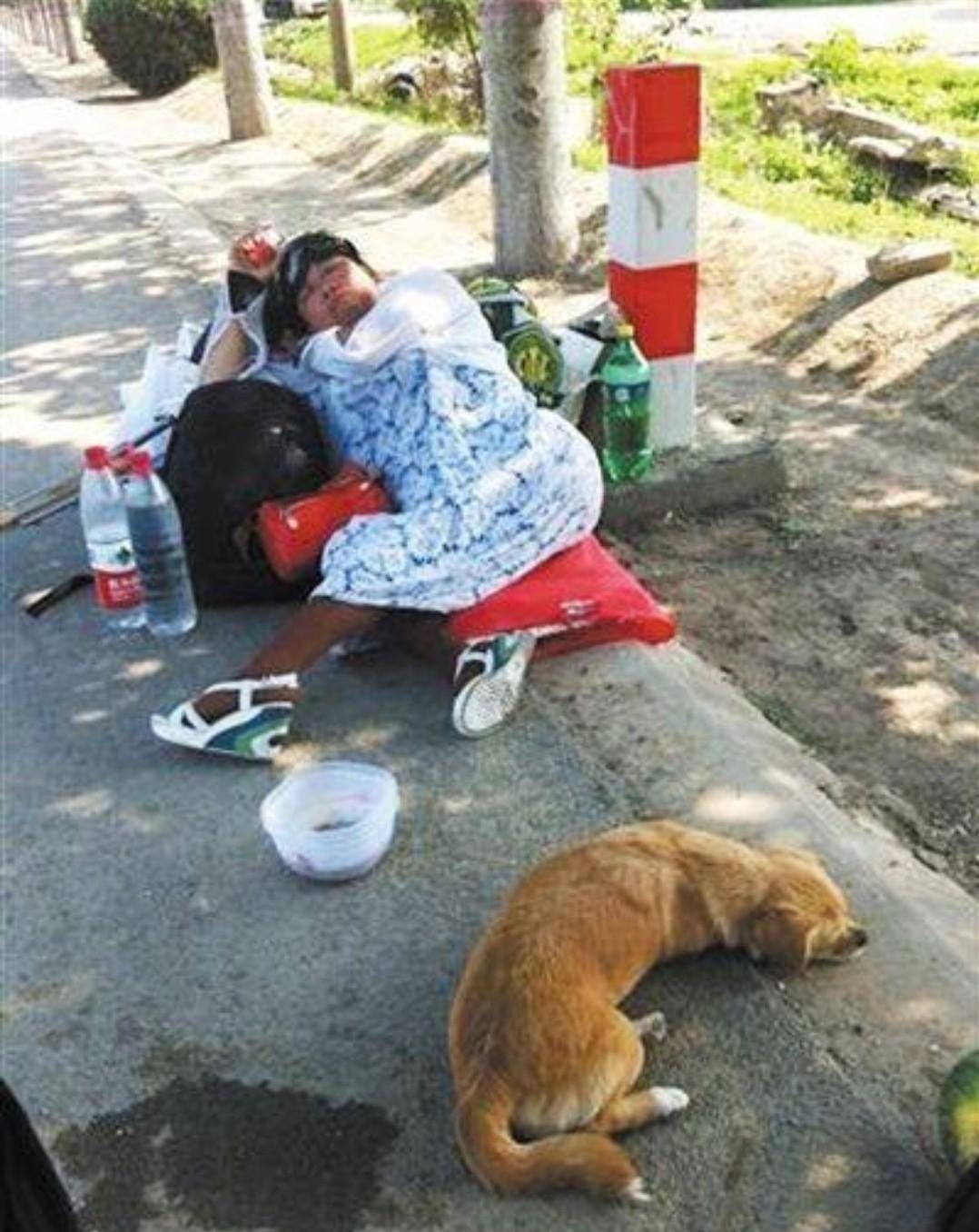 2012年,那个徒步推着母亲从北京到西双版纳的男子,如今怎样了