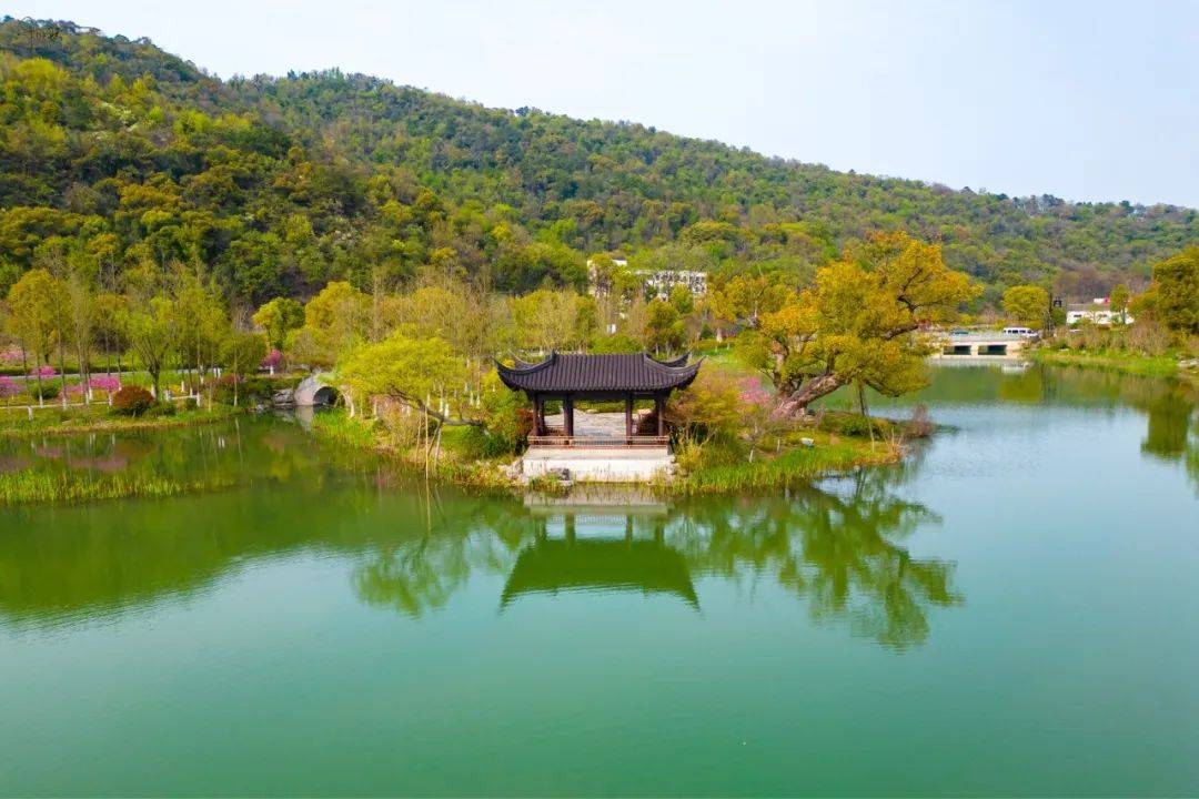 铜鉴湖的春色旖旎如画,是杭州很难得的,"景美人少"好去处