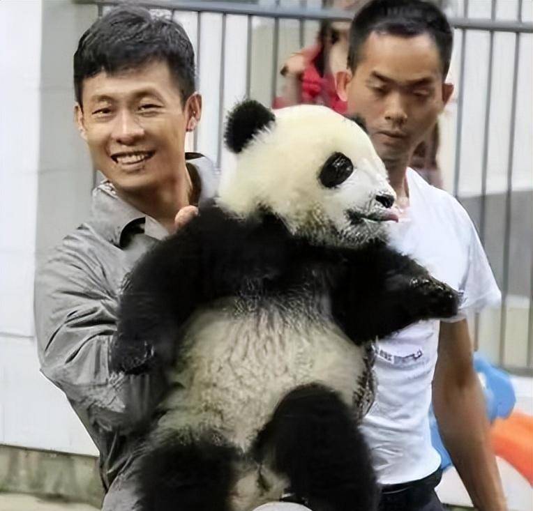 胸部肿胀起来,只能带着墨镜捂着胸口去了协和医院,医生给他下了诊断书