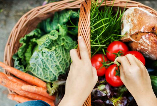 给你的宠物兔最好的健康美食是宠物父母必须知道的事