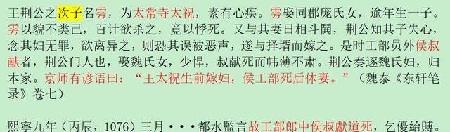 天才王雱有疯病,王安石把儿媳妇庞氏改嫁给皇弟赵颢?真相来了
