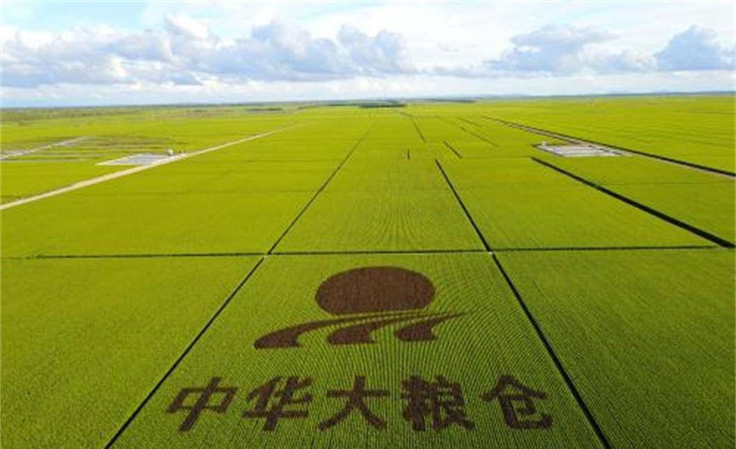 我国最大粮仓北大荒,辛苦开垦了半个多世纪,为什么要退耕还荒?